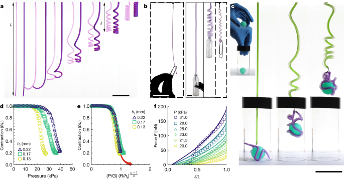 Bubble Casting Soft Robotics Nature