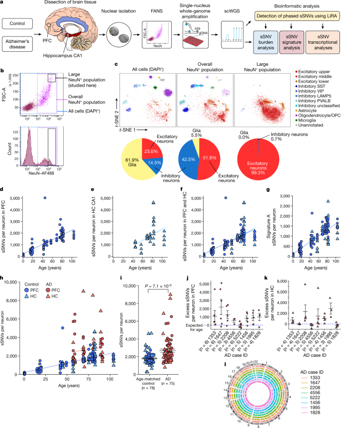 Somatic Genomic Changes In Single Alzheimer S Disease Neurons Nature