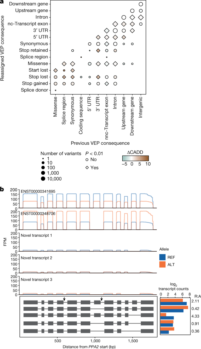 Transcriptome variation in human tissues revealed by long-read sequencing |  Nature