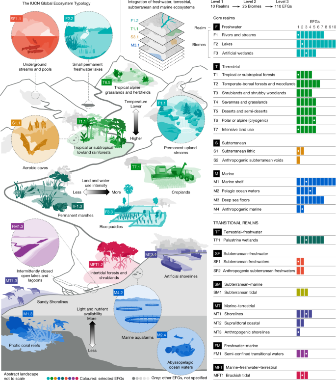 Ecology: Vol 104, No 4