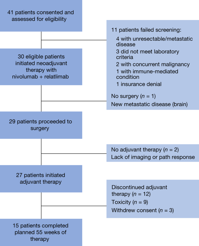 Neoadjuvant–Adjuvant or Adjuvant-Only Pembrolizumab in Advanced Melanoma