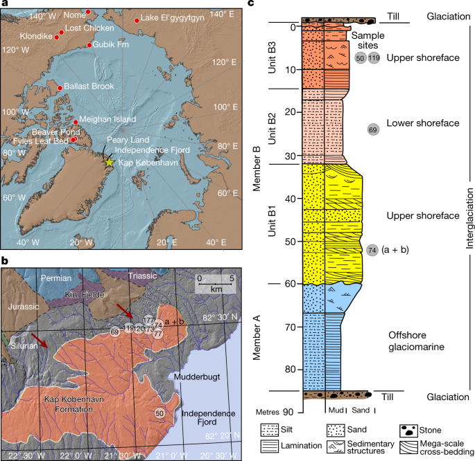 環境DNAが解き明かすグリーンランドでの200万年前の生態系(Environmental DNA uncovers a 2-million-year-old ecosystem in Greenland)