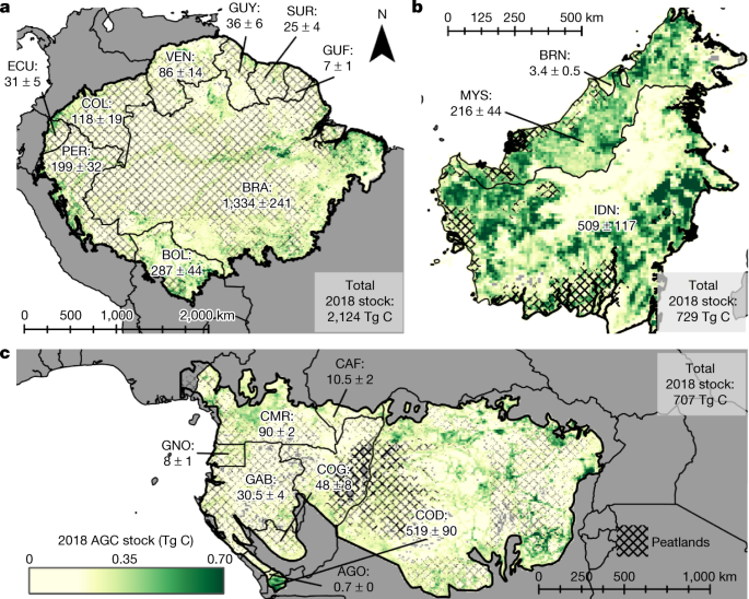 The carbon sink of secondary and degraded humid tropical forests | Nature