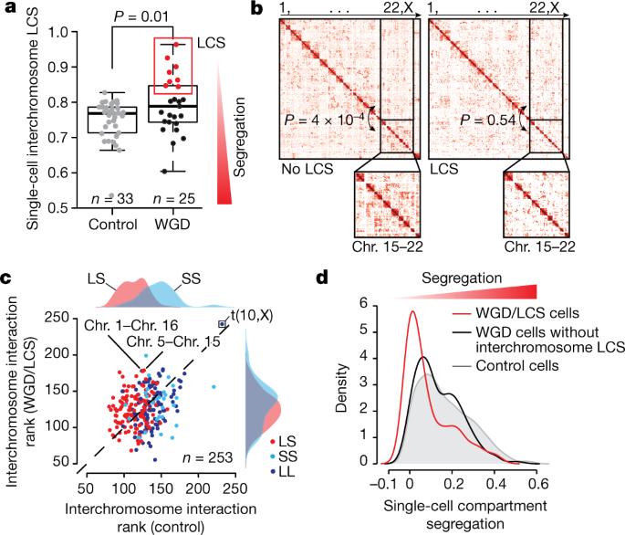 Fig. 3: LCS in WGD single cells.