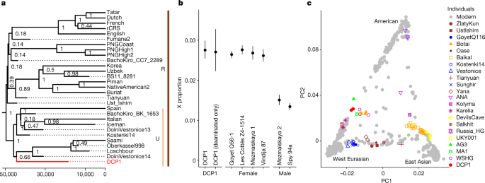 Fig. 3: Ancient human mtDNA and nuclear DNA isolated from DCP1.