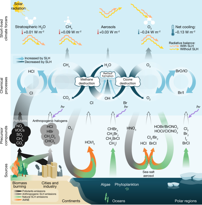 Natural short-lived halogens exert an indirect cooling effect on climate |  Nature