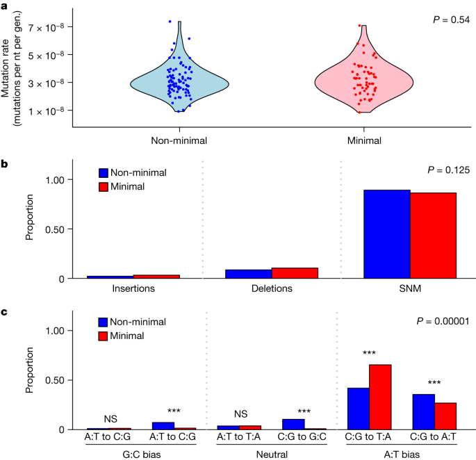 Fig. 1: The mutation rate and spectrum of the minimal and non-minimal cell.