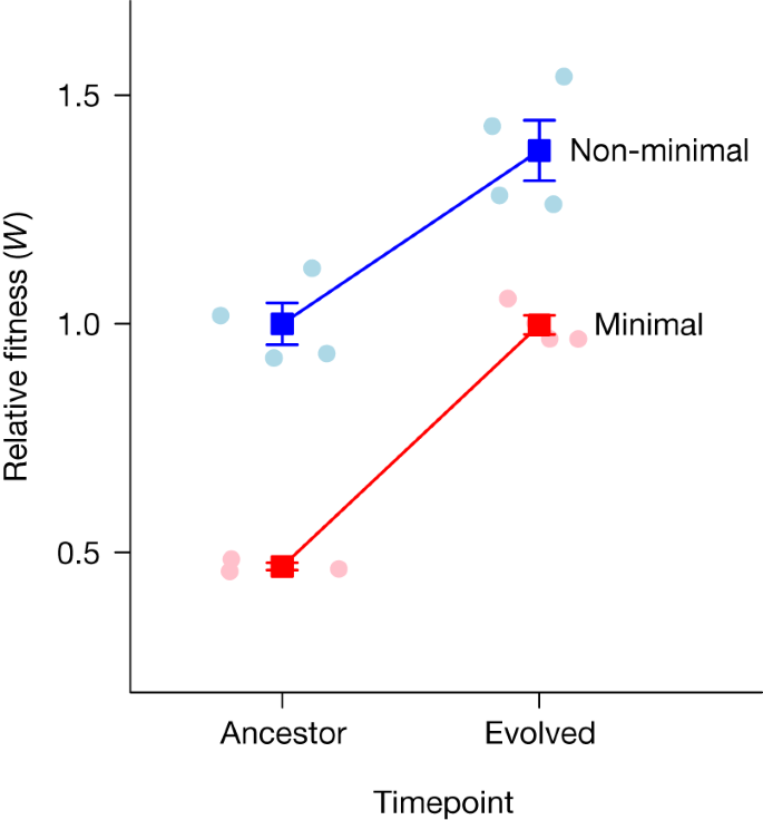 Fig. 2: The effect of genome minimization on fitness and adaptation.