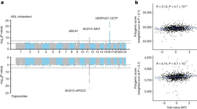 Fig. 4: Illustrative examples of GWAS and polygenic prediction in the MXB.