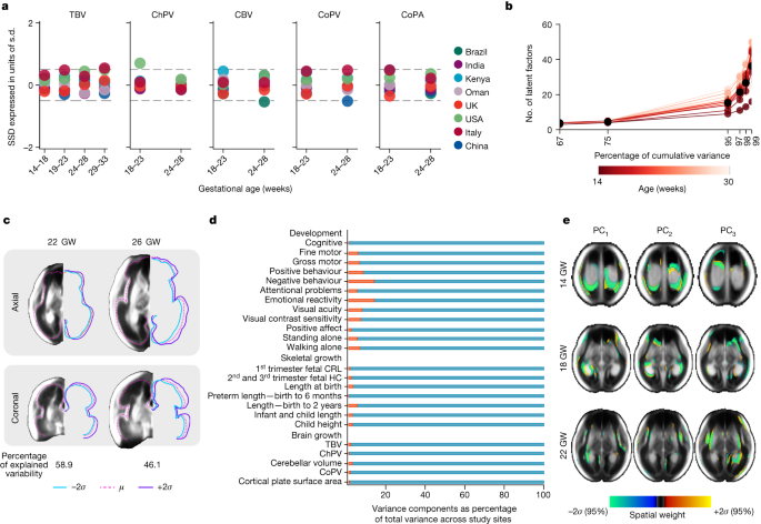 Fig. 3: Structural variability among normative fetuses with satisfactory growth and neurodevelopment until 2 years of age.