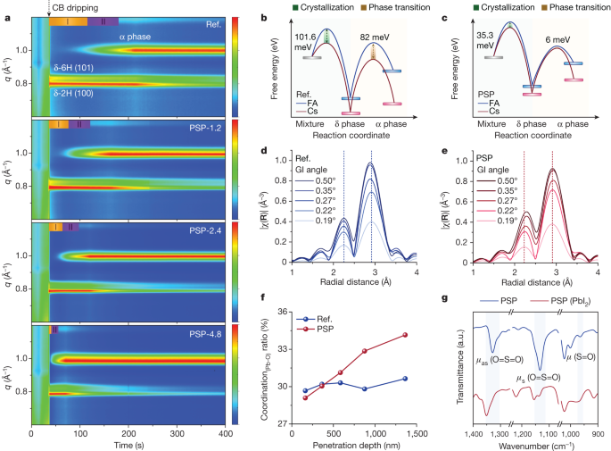 Fig. 2: Revealing the origin of the segregation of the FA and Cs phases.