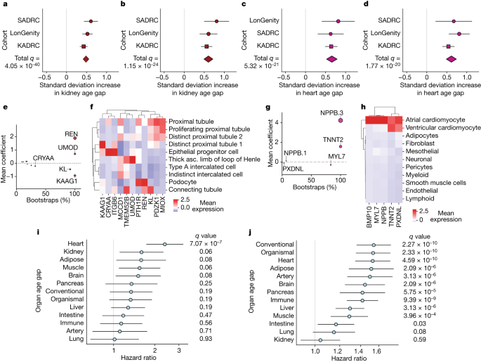Fig. 2: Organ age predicts health and disease.