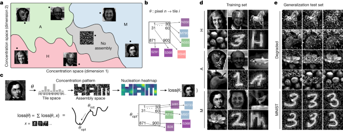 Fig. 5: Design of self-assembly phase diagrams to solve pattern recognition problems.