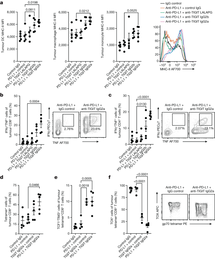 Fig. 5: Flow cytometry analysis of anti-TIGIT antibody activity on tumour myeloid cells and lymphocytes.