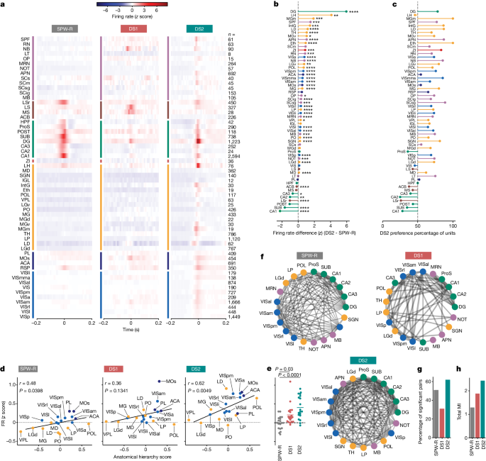 Fig. 2: Elevated brain-wide firing during type 2 DSs.