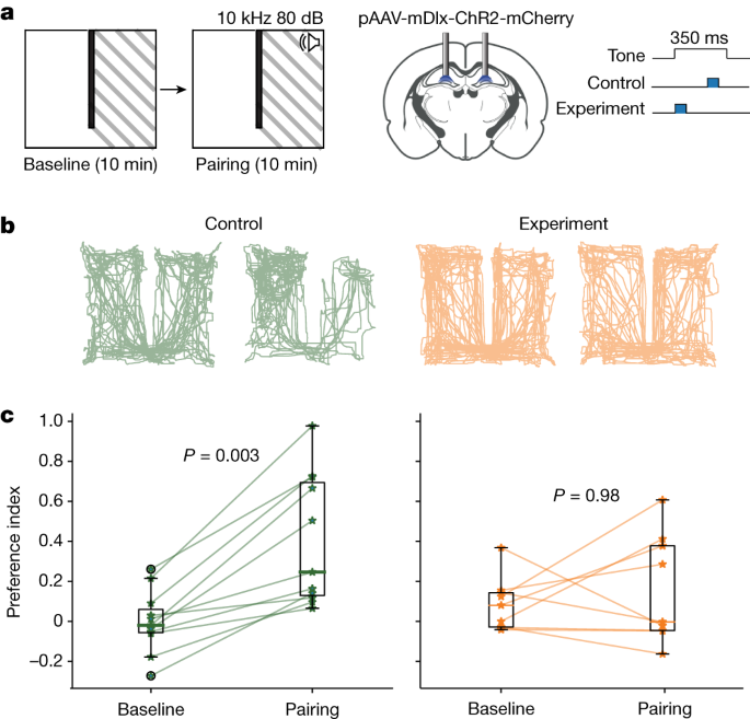 Fig. 4: DS2 supports associative memory acquisition.