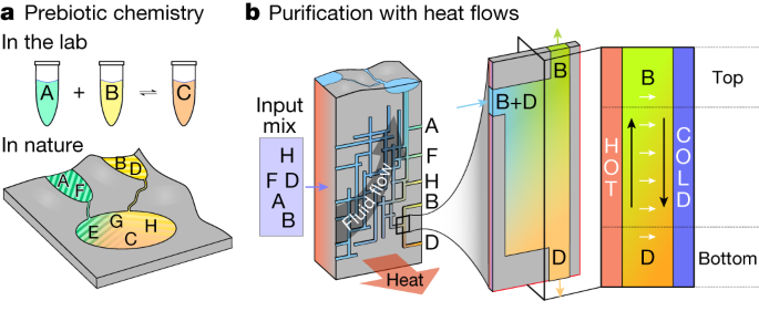 熱の流れがプレバイオティック分子キッチンの秩序の秘密(Heat flows the secret to order in prebiotic molecular kitchen)