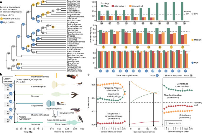 research on evolution of birds figure 2