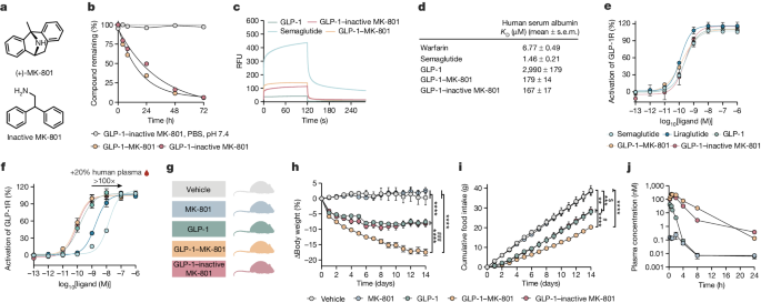hypothesis on junk food and obesity figure 2