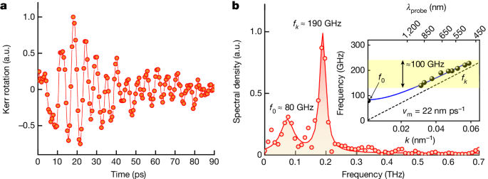 Fig. 2: Observation of the magnon modes in the single-pump experiment.