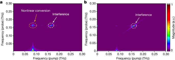 Fig. 4: Numerical simulations of the double-pump MOKE experiment.