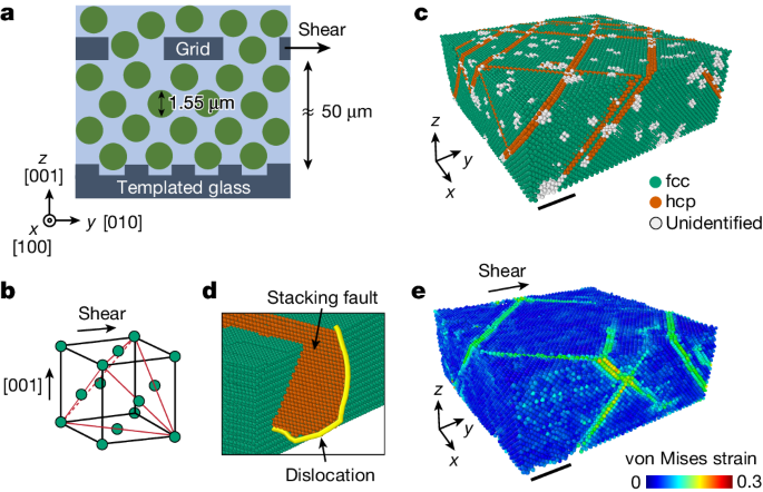 なぜ材料は変形すると強くなるのか？(Why do materials get stronger when they are deformed?)