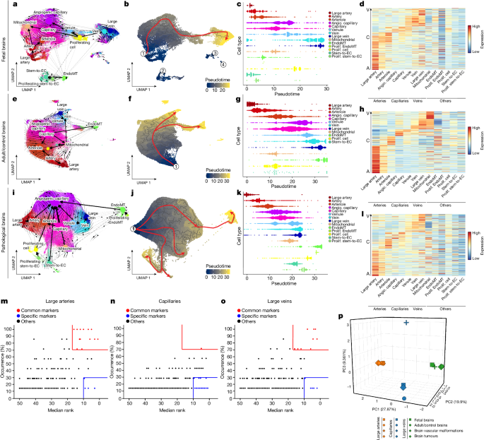 atlas translational phd program figure 3