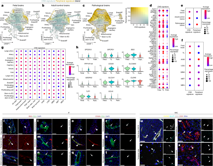 atlas translational phd program figure 4