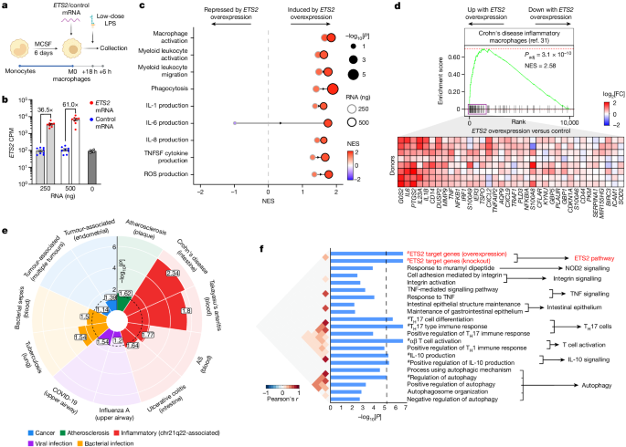 what is data transcription in research figure 3