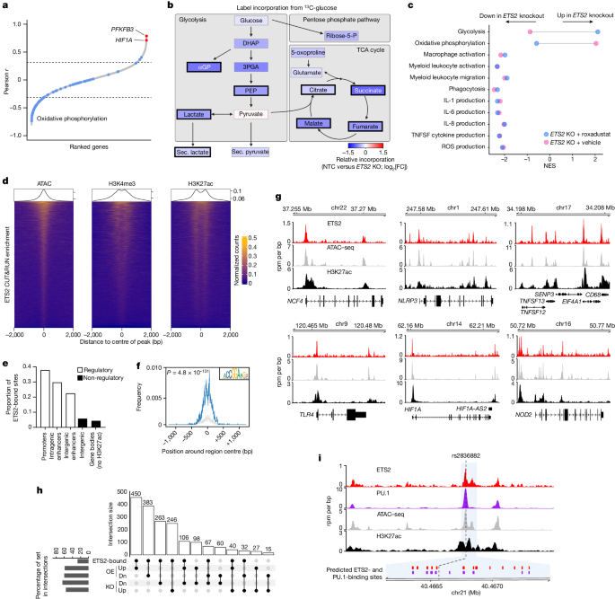 what is data transcription in research figure 4