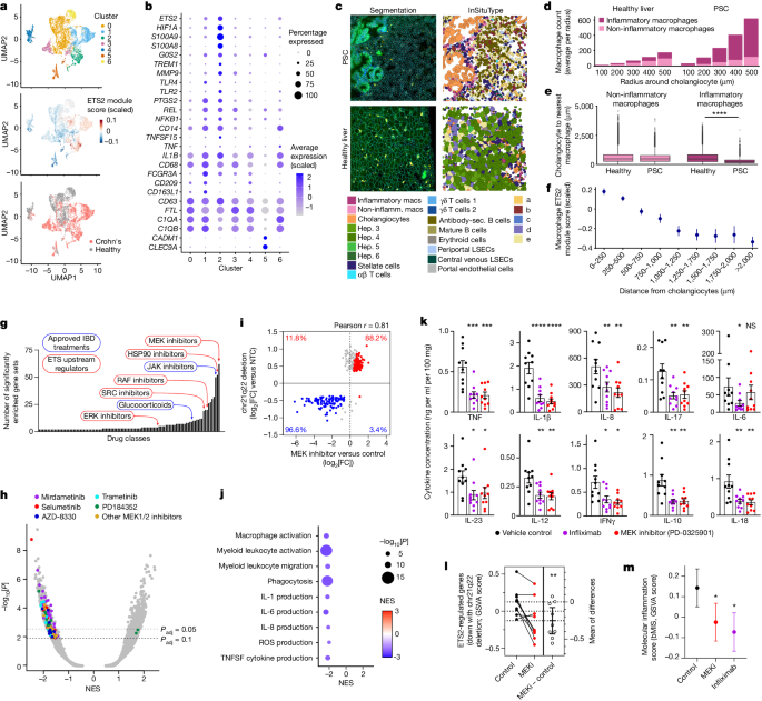 what is data transcription in research figure 5