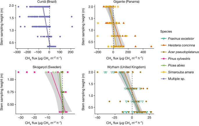 樹木の木質表面が大気中のメタンを除去(Woody surfaces oftrees remove methane from the atmosphere)