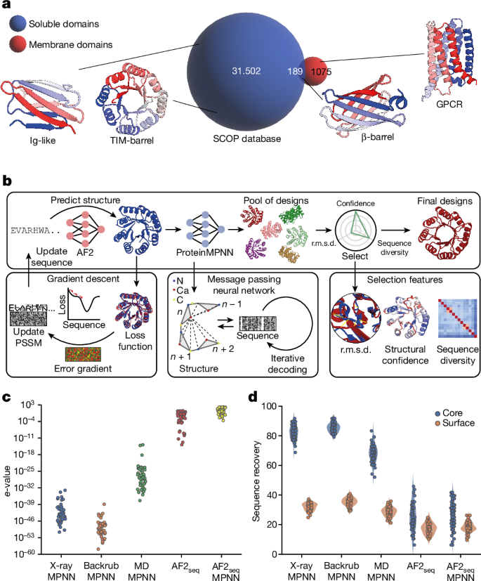膜タンパク質の類似体が創薬を加速する可能性(Membrane protein analogues could accelerate drug discovery)
