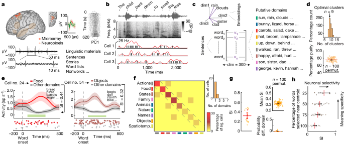 speech production meaning figure 1
