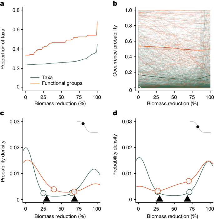 伐採された森林はまだ生態学的価値を持ちうる – 無理をしなければ(Logged forests can still have ecological value – if not pushed too far)