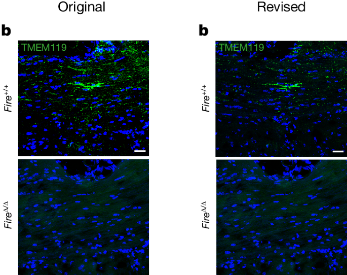 Fig. 1: Original and revised Fig. 1b