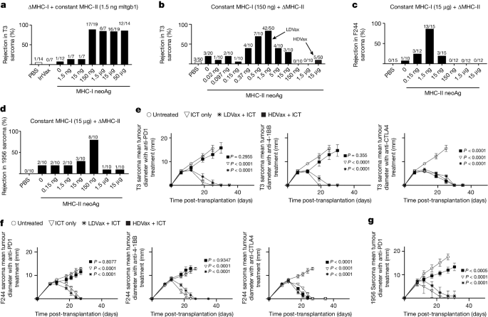抑制性免疫細胞を迂回する薬剤が免疫療法を解き放つ(Drug bypasses suppressive immune cells to unleash immunotherapy)