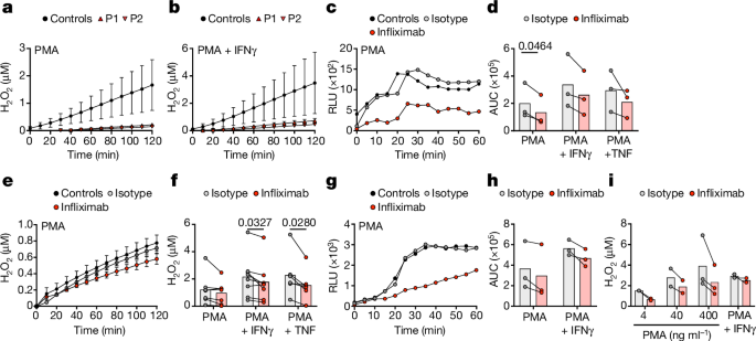 Fig. 4: Loss of TNF signalling in AML cells and lung macrophages impairs NADPH oxidase activity.