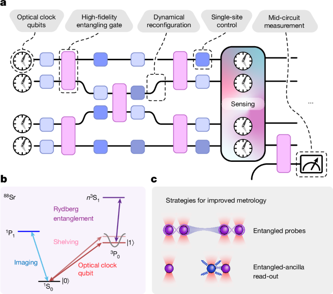 原子時計と量子コンピューターの融合(Merging Atomic Clocks with Quantum Computers)