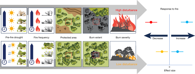 Biodiversity impacts of the 20192020 Australian megafires | Nature