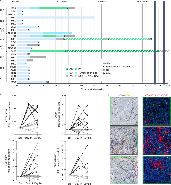Fig. 1: Phase 1 dose escalation of visugromab in combination with nivolumab.