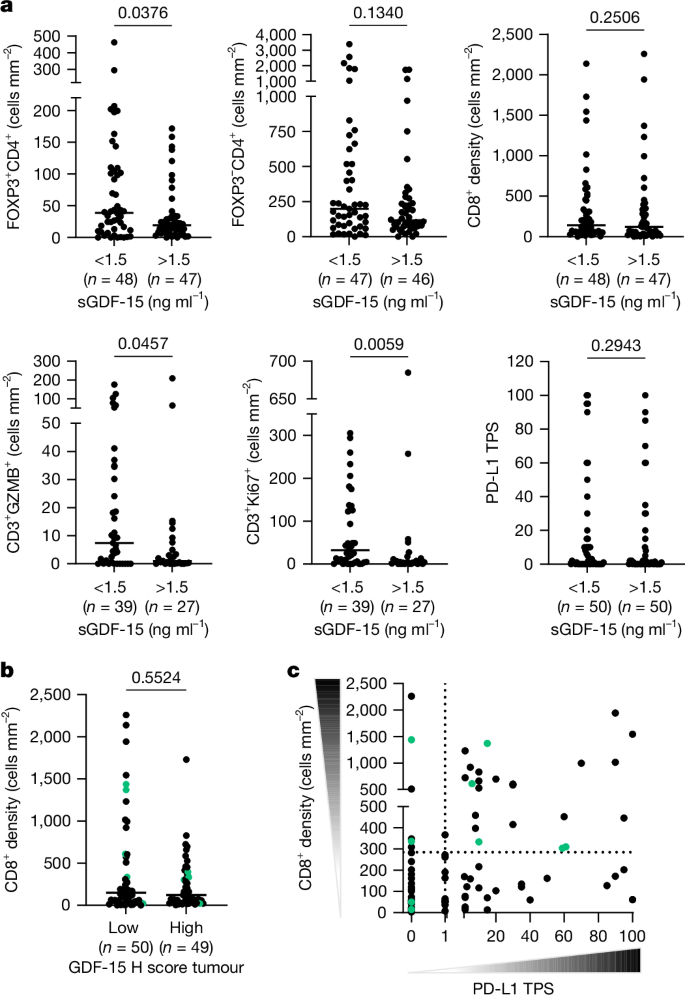 Fig. 5: GDF-15 correlates with immune-cell density in the tumour at baseline across different tumour types of all patients enrolled in phase 1 and 2a expansions.