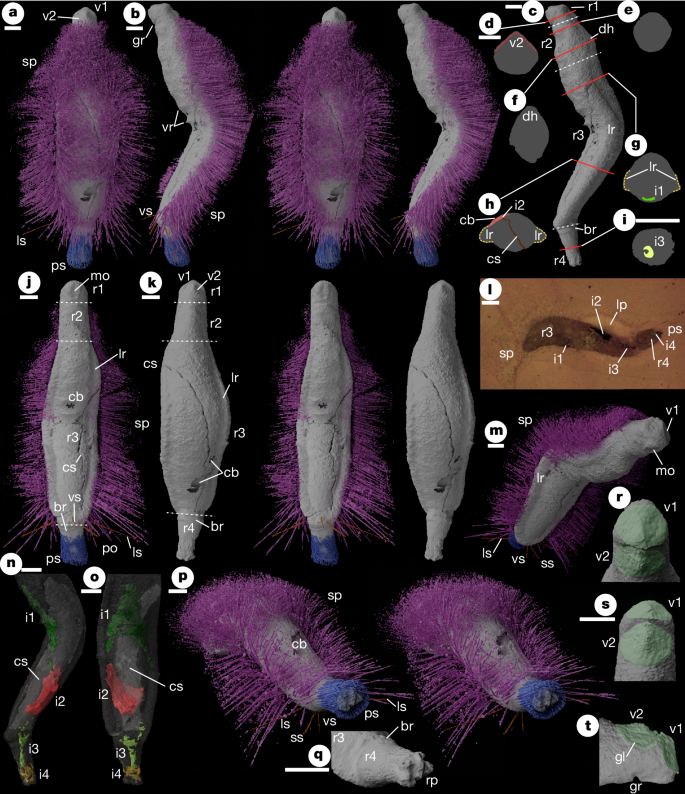 Figura 2