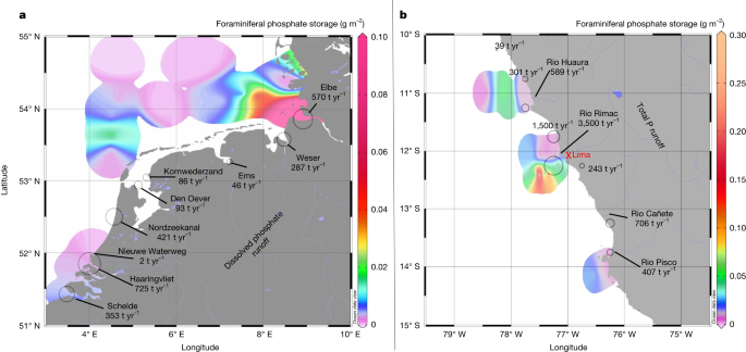 Fig. 4: Distribution of benthic foraminiferal storage.