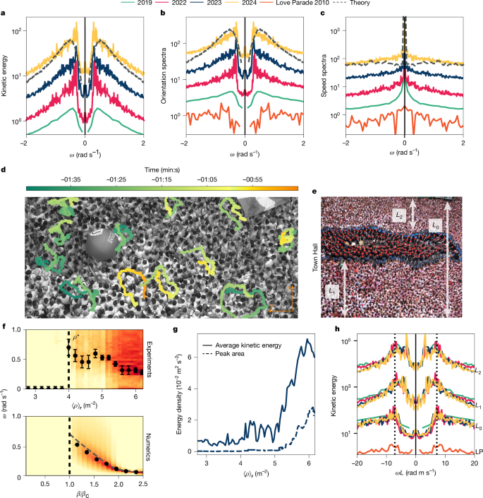 Fig. 3: Dense crowds oscillate spontaneously.