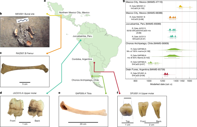 Fig. 1: Contextual details of the five individuals who yielded treponemal genomes in this study.