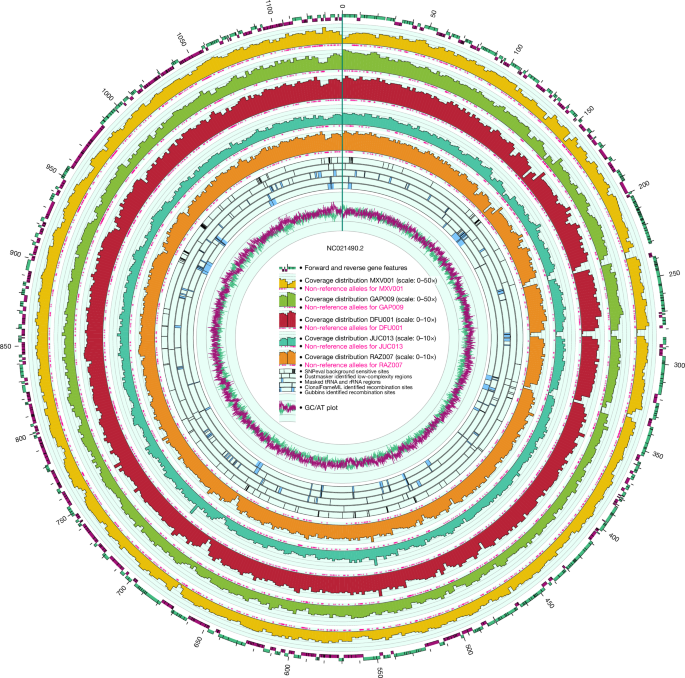 Fig. 2: Circos plot showing genome features of the TPA&nbsp;Nichols reference genome and additional tracks containing metadata specific to the five ancient genomes presented here.