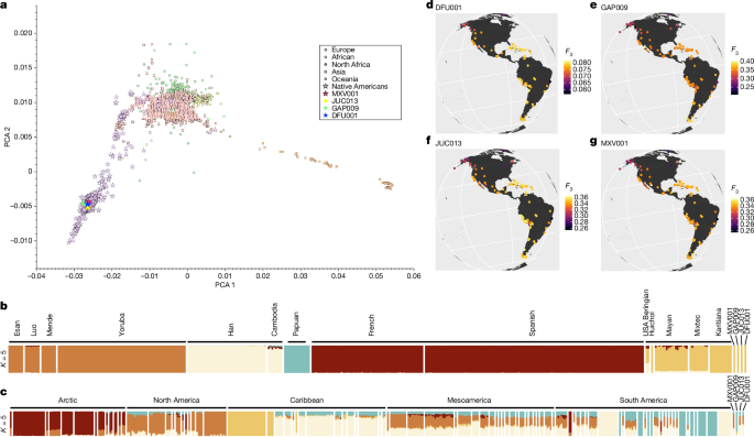 Fig. 4: Human genomic analyses.