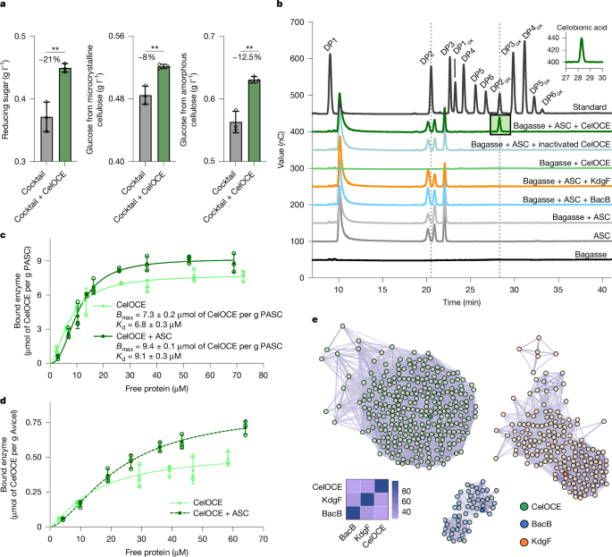 Fig. 2: Function and sequence orthology.