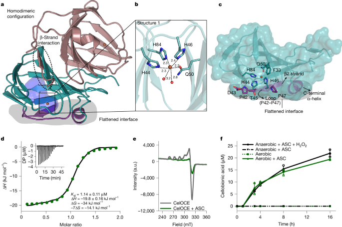 Fig. 3: Crystal structure, copper properties and catalytic requirements.